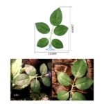 Vibrant 5-Piece Reptile Terrarium Plant Set - Multicolor Decor Leaves for Aquariums and Habitats - Image 3