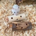 Natural Wood Hamster Chew Toy - Image 3
