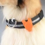 Pet Dog Puppy Collar Necklace with LED - Image 2