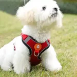Pet Dog Harness No Pull Breathable Reflective Harness - Image 4