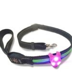 Multi-Color LED Light Dog & Cat Safety Pendant for Collars - Image 4
