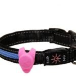 Multi-Color LED Light Dog & Cat Safety Pendant for Collars - Image 3