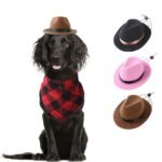 Pet Cowboy Hat - Image 5