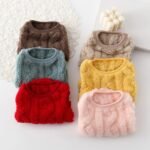 Double-Sided Fleece Winter Pet Sweater - Image 4