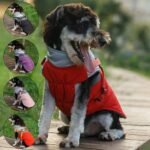 Winter Warm Waterproof Dog Jacket Vest for Small Dogs - Image 3