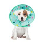 Soft Recovery Pet Collar Cone - Image 2