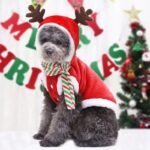 Christmas-Themed Warm Fleece Hoodie for Small and Medium Dogs - Image 3