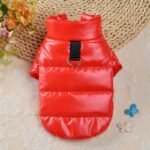 Cozy Waterproof Winter Dog Jacket with Hood for Small to Medium Breeds - Image 5