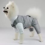 Elegant Cotton Wedding Suit for Small Dogs - Image 6