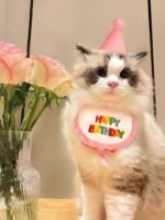 Colorful Pet Birthday Bandana & Party Hat Set for Cats and Dogs - Image 2