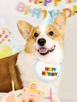 Colorful Pet Birthday Bandana & Party Hat Set for Cats and Dogs - Image 5