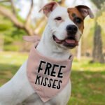 Free Kisses Pet Bandana - Word Print Dog Bandana - Minimalist Pet Scarf - Image 4