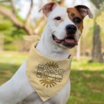 My Dog Is My Sunshine Pet Bandana - Phrase Dog Bandana - Cute Pet Scarf - Image 4
