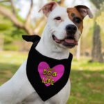 Happy Dog Happy Life Pet Bandana - Phrase Dog Bandana - Art Print Pet Scarf - Image 4