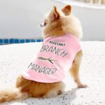 Assistant Branch Manager Dog Sleeveless Shirt - Minimalist Dog Shirt - Print Dog Clothing - Image 6