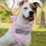Woof Pet Bandana - Word Art Dog Bandana - Beautiful Pet Scarf - Image 4