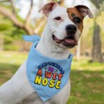 Happiness Is a Wet Nose Pet Bandana - Colorful Dog Bandana - Quote Pet Scarf - Image 4