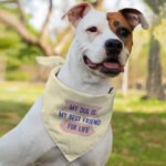 My Dog Is My Best Friend Pet Bandana - Cute Dog Bandana - Art Pet Scarf - Image 4